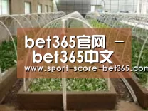 环境展示五