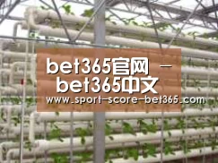 环境展示六