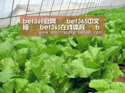 种植基地一