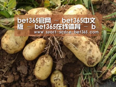 种植基地六