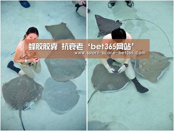 蜂胶胶囊 抗衰老‘bet365网站’(图2) bt365官网